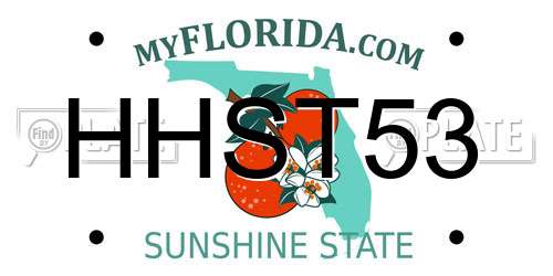 HHST53 Florida License Plate