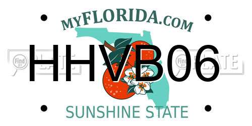 HHVB06 Florida License Plate