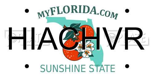 HIACHVR Florida License Plate