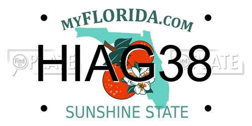 HIAG38 Florida License Plate