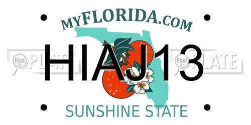 HIAJ13 Florida License Plate