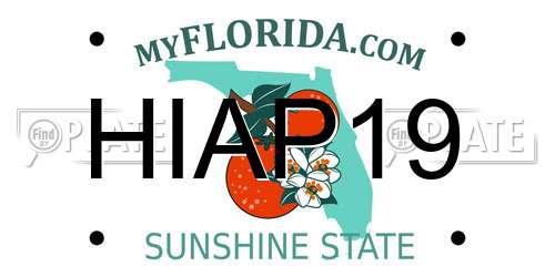 HIAP19 Florida License Plate