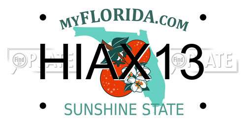 HIAX13 Florida License Plate