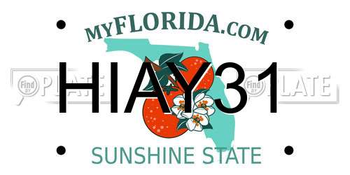 HIAY31 Florida License Plate
