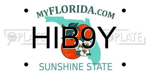 HIB9Y Florida License Plate