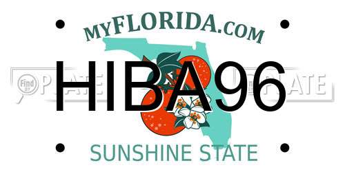 HIBA96 Florida License Plate