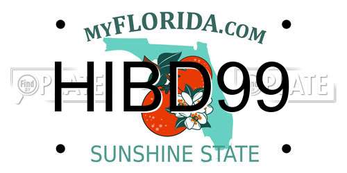 HIBD99 Florida License Plate