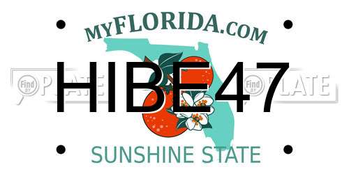 HIBE47 Florida License Plate