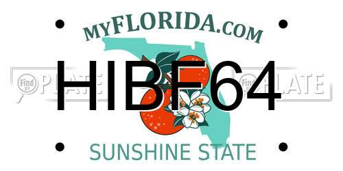 HIBF64 Florida License Plate