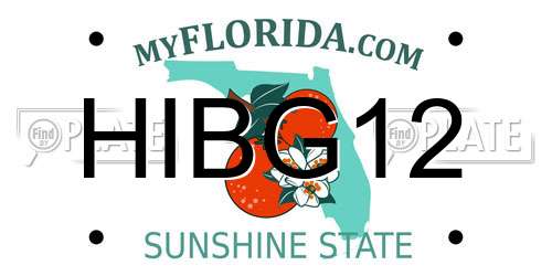 HIBG12 Florida License Plate