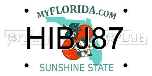 HIBJ87 Florida License Plate