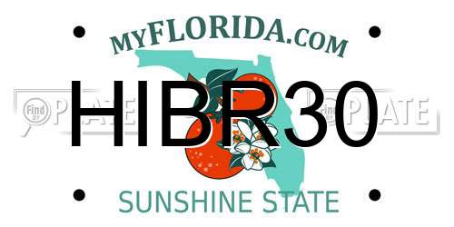 HIBR30 Florida License Plate