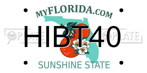 HIBT40 Florida License Plate