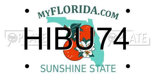 HIBU74 Florida License Plate
