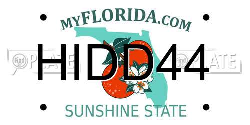 HIDD44 Florida License Plate