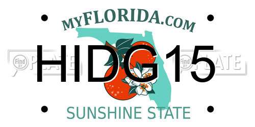 HIDG15 Florida License Plate