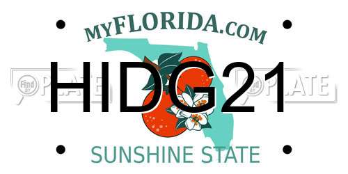 HIDG21 Florida License Plate