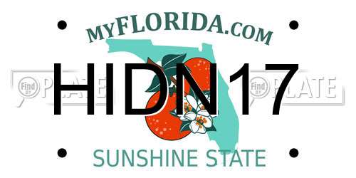 HIDN17 Florida License Plate