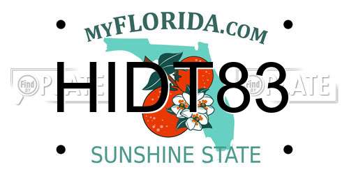 HIDT83 Florida License Plate