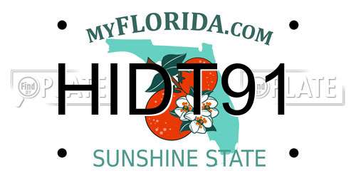 HIDT91 Florida License Plate