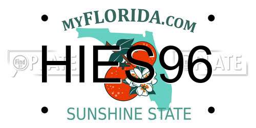 HIES96 Florida License Plate