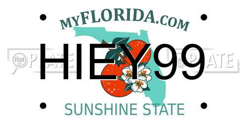 HIEY99 Florida License Plate