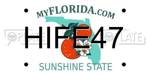 HIFE47 Florida License Plate