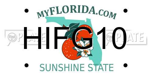 HIFG10 Florida License Plate
