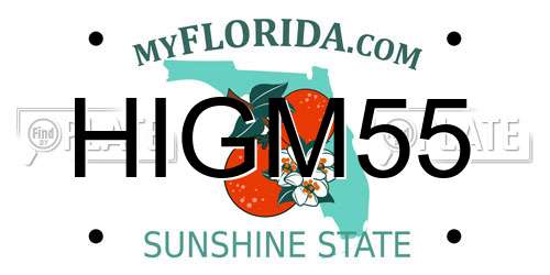 HIGM55 Florida License Plate