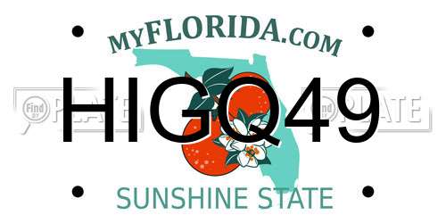 HIGQ49 Florida License Plate
