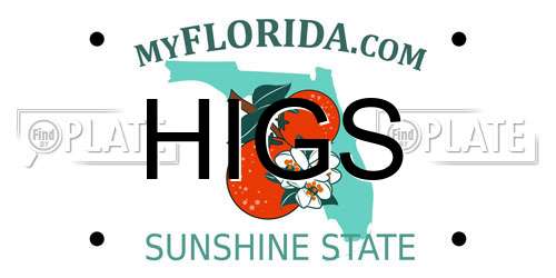 HIGS Florida License Plate