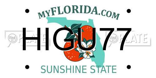 HIGU77 Florida License Plate