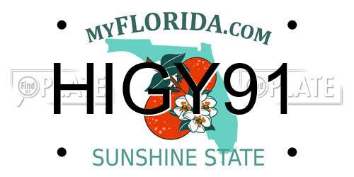 HIGY91 Florida License Plate