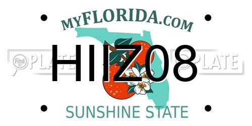 HIIZ08 Florida License Plate
