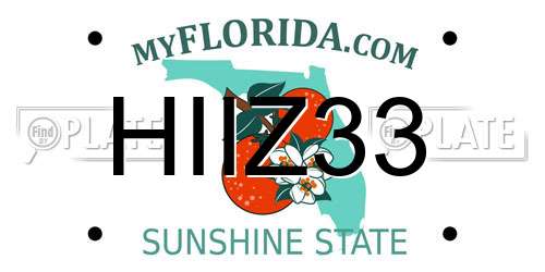 HIIZ33 Florida License Plate
