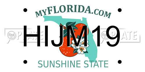 HIJM19 Florida License Plate