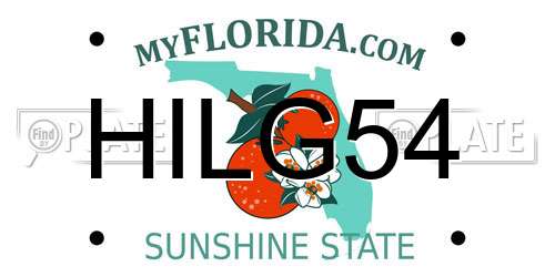 HILG54 Florida License Plate