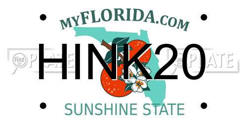 HINK20 Florida License Plate
