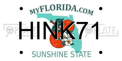 HINK71 Florida License Plate