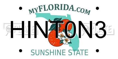 HINT0N3 Florida License Plate