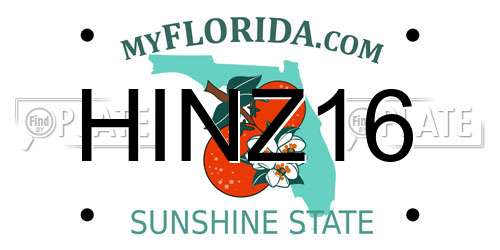HINZ16 Florida License Plate