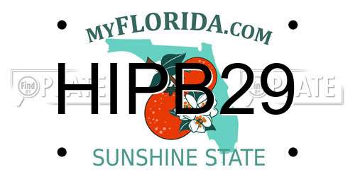 HIPB29 Florida License Plate