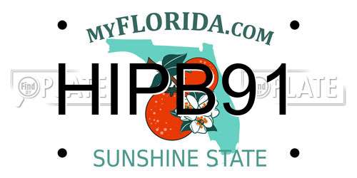 HIPB91 Florida License Plate