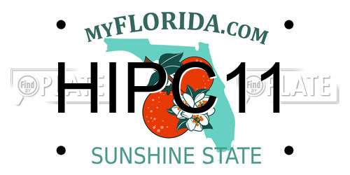 HIPC11 Florida License Plate