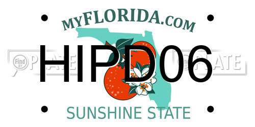 HIPD06 Florida License Plate