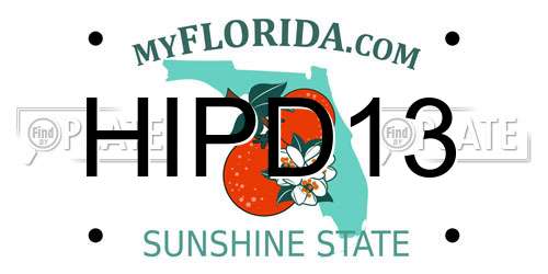 HIPD13 Florida License Plate