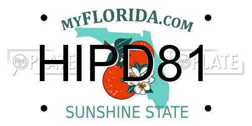 HIPD81 Florida License Plate