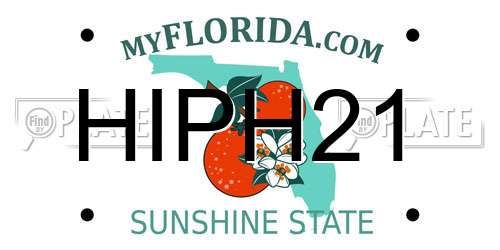 HIPH21 Florida License Plate
