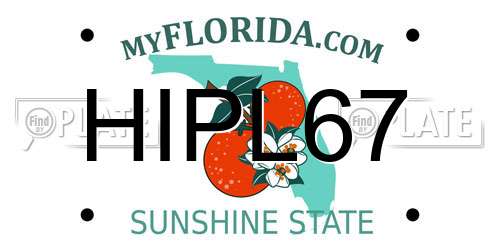 HIPL67 Florida License Plate
