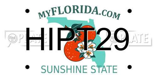 HIPT29 Florida License Plate
